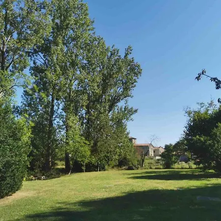 Family With Pool In A Wooded Park